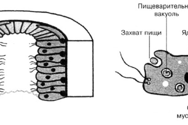 Кракен зеркало орион