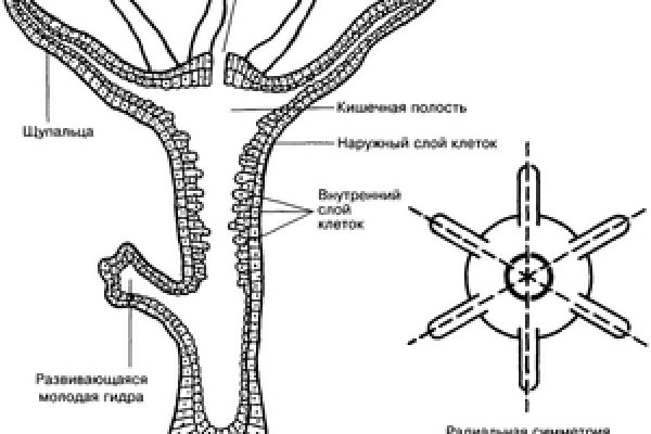 Наркосайт кракен