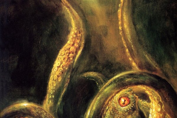 Kraken com зеркало