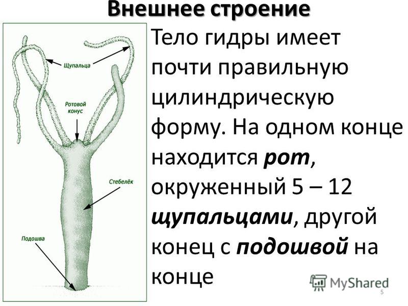 Кракен вход ссылка